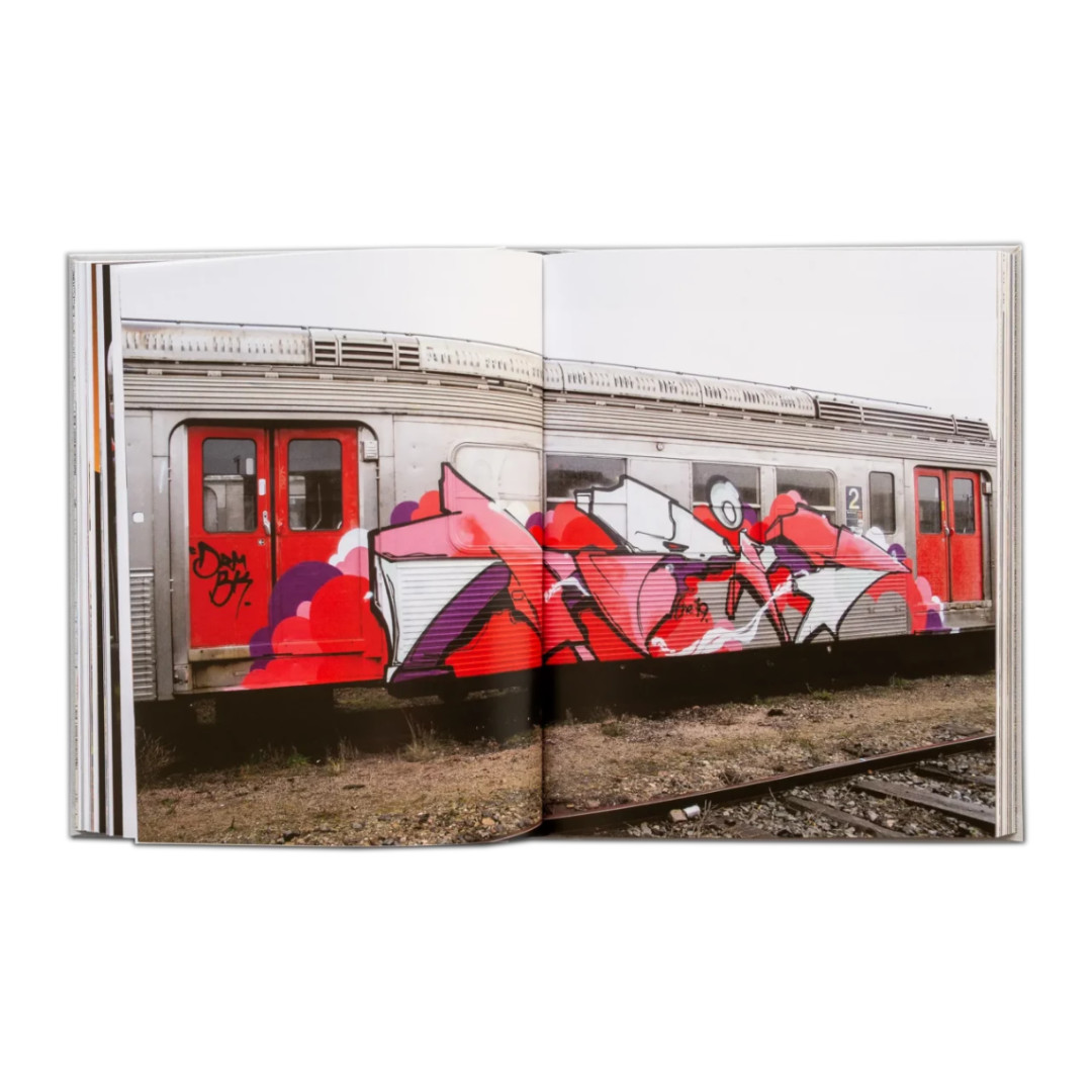 Olivier Scuro - Painted Graves Vol.1 - Pilt 3